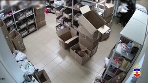 В Марий Эл осудят менеджера пункта выдачи заказов за хищение товаров более чем на 100 тысяч рублей