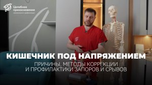 Кишечник под напряжением. Запоры и срывы, их причины и последствия | Целебное Прикосновение