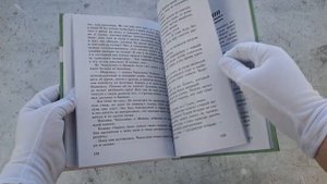 Приключения Чиполлино (цв. ил. И. Маликовой)