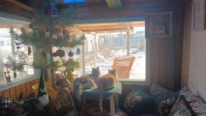 Подоконник-кровать