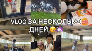 ВЛОГ ЗА НЕСКОЛЬКО ДНЕЙ / ПОДАРКИ НА ДЕНЬ РОЖДЕНИЕ / ПРОКОЛОЛИ УШКИ