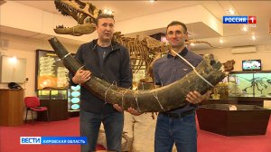 В Вятский палеонтологический музей передали бивень мамонта, найденный в реке Моломе