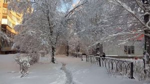 Снег в ноябре