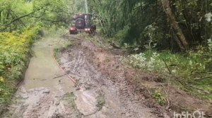30.08.2025. Ориентирование. Клуб Avtoquests.