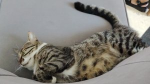 Делаю игру в роблокс заходите в неё когда я её сделаю