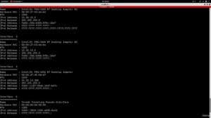 18.7 Pivoting - Using a Hacked System to Hack Into Other Systems