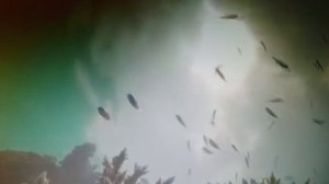 Не рви Божественно связующие нити. читает автор Богдан Бандура.
