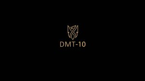 Пример видеозаписи DMT-10