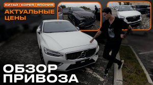 HYUNDAI из Китая и Кореи! Обзор привоза август 2025 с АКТУАЛЬНЫМИ ЦЕНАМИ!