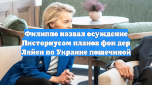 Филиппо назвал осуждение Писториусом планов фон дер Ляйен по Украине пощечиной