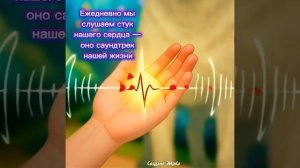 Утренние ритуалы.