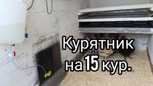 Курятник.