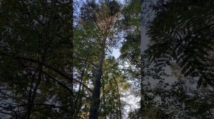 Виктория Строганова | ТОЧКА.РФ – МЕСТО | г. Полярные Зори