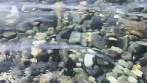 Чистейшее море