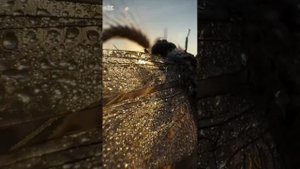 Осень ещё не эпилог