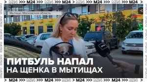 Очевидцы сообщили о побеге хозяина питбуля после нападения в Мытищах - Москва 24