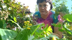 Нельзя желать конечно,но.... Компот ассорти🍎