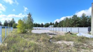 3941338 Лукоморье