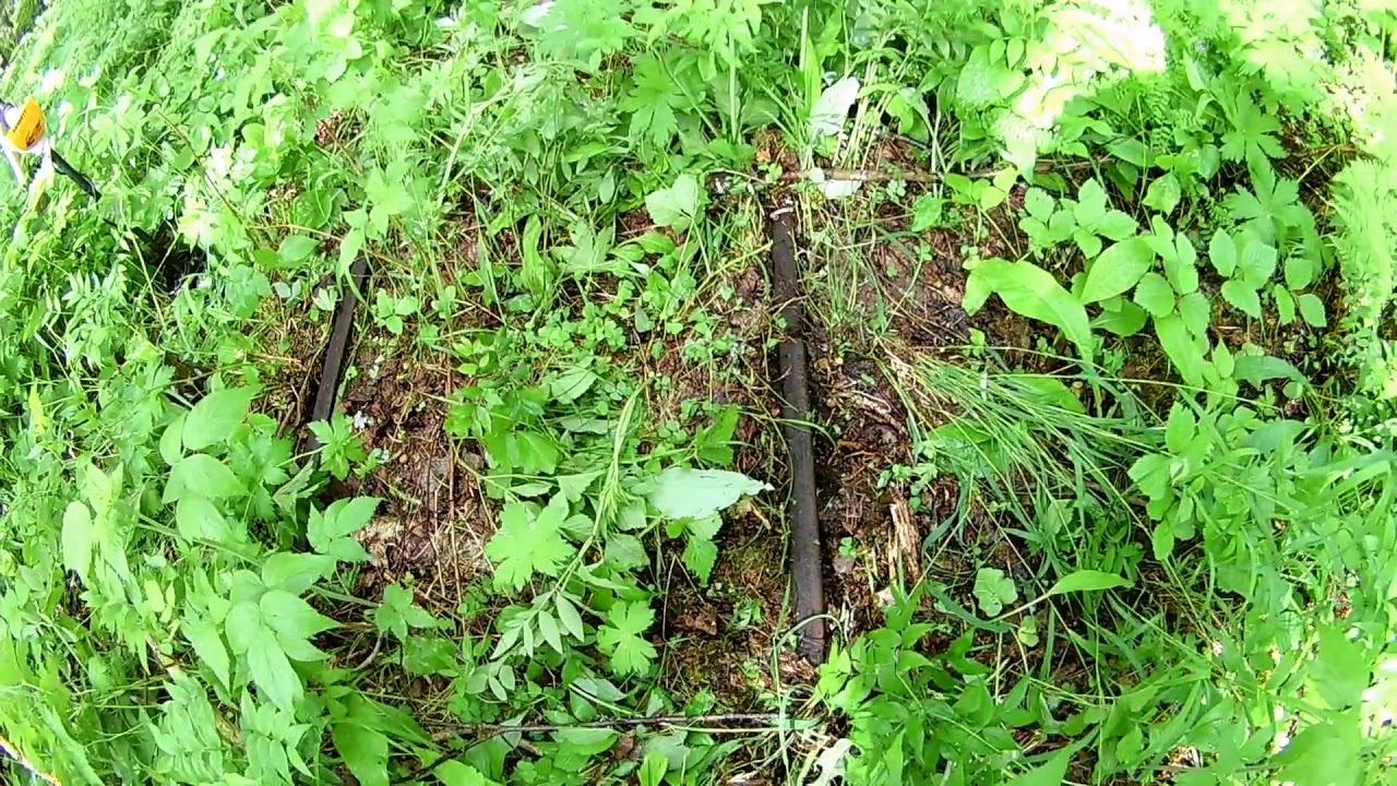 Нашли кучу рельс. Металлокоп смотреть онлайн