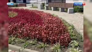 Улица Кешокова в Нальчике завершила преображение