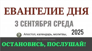 3 сентября сентября Евангелие дня 2025 с толкованием #евангелие