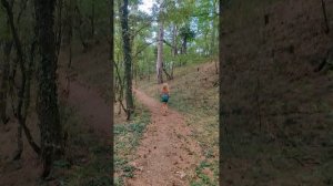 Водопад Учан Су, Ялта 2025, альтернативный проход