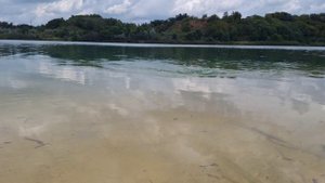 КЛАССНАЯ МУЗЫКА ⚡ МУЗЫКА ОНЛАЙН БЕСПЛАТНО ⚡ МУЗЫКА ТОПЧИК ⚡ ПРЯМ ХОЧЕТСЯ ЖИТЬ СМОТРЯ ЭТОТ ВИДЕОКЛИП