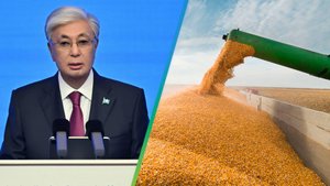 Казахстан увеличит экспорт зерна в Китай до двух миллионов тонн в год
