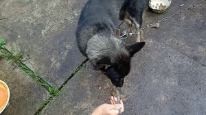 Зама му за папу🤣🤣🤣