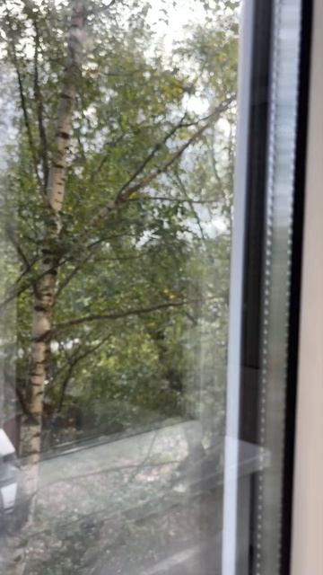 Чехова, 1 смотреть онлайн