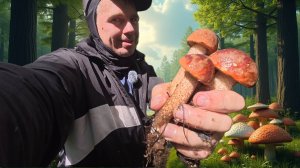 СЛОМАЛСЯ от количества грибов! Нереальный урожай