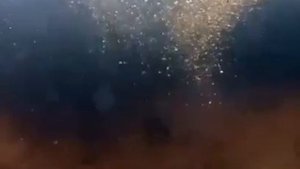 Видео от За Трофеем: Охота и Рыбалка