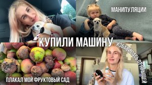 КУПИЛИ МАШИНУ🥳 Первые попытки манипуляций 😏 МОНИЛИОЗ 🫣 плоды гниют на ветке 🍏 ЛЕЧУ КОЖУ Ми