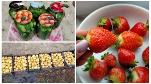 Не ждём когда она всплывёт-копаем сами🫤 (Дубль2)