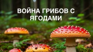 Сказка «ВОЙНА ГРИБОВ С ЯГОДАМИ».