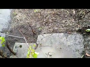 После дождя.