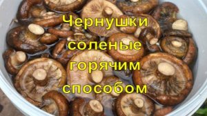 Солим чёрные грузди горячим способом! С чесноком, хреном!