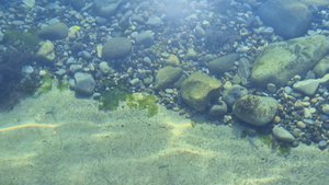 Релакс. Морское дно