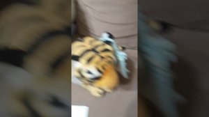 МУЗЫННИК СОШОЛ СУМА ЛИЛИЯ ! 🐯🐴🦊🐇🐈🐀