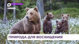 Фестиваль «Золотая черепаха» привёз свою выставку во Владивосток и представляет ее в дни ВЭФ