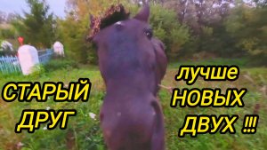 КУПИЛИ ДОМ В ДЕРЕВНЕ | Старый друг лучше новых двух | Дом в деревне | Семья в селе