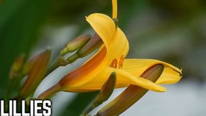 Russia_Geography_and_Culture_Song_For_Kids_Learn_Fun_Facts_About