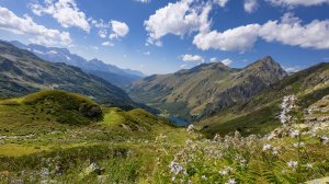 Кардывач 22-25 08 25