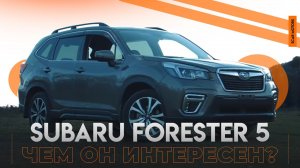 Чем он так интересен! Наш взгляд на премиум Subaru Forester 5-го поколения!