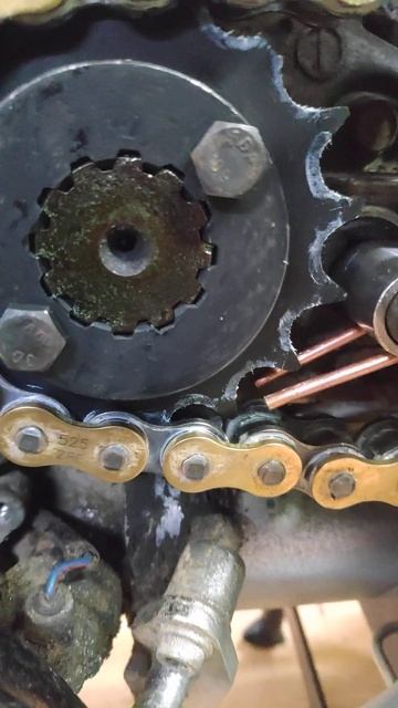 XRV750. Хонда Африка Твин 750 и авто смазчик цепи.Маслофорсунка от (Саша Брест)