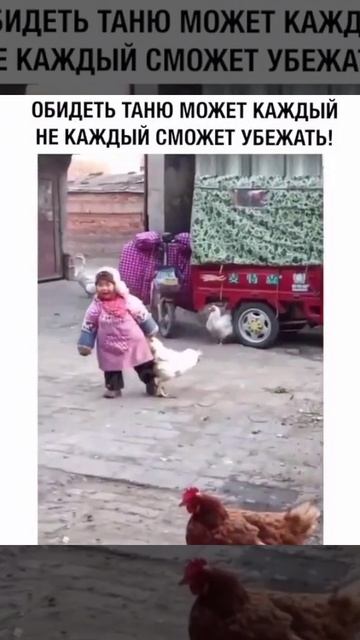 Мега приколы 2025 #033