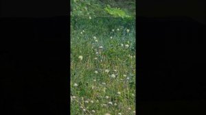 Самарская лука гора Стрельная