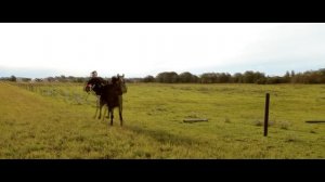 Многая лета Русской земле!