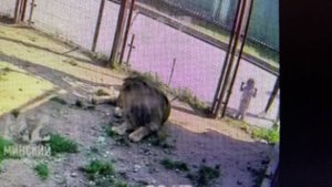 Шархан Дневной отдых в разных местах 03.09.2025