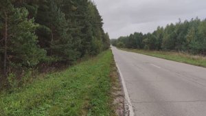 Белый груздь и рыжики в среду.